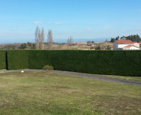 Entretien d'espaces verts