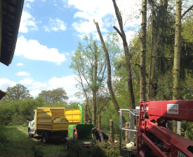 Entretient d'espaces verts